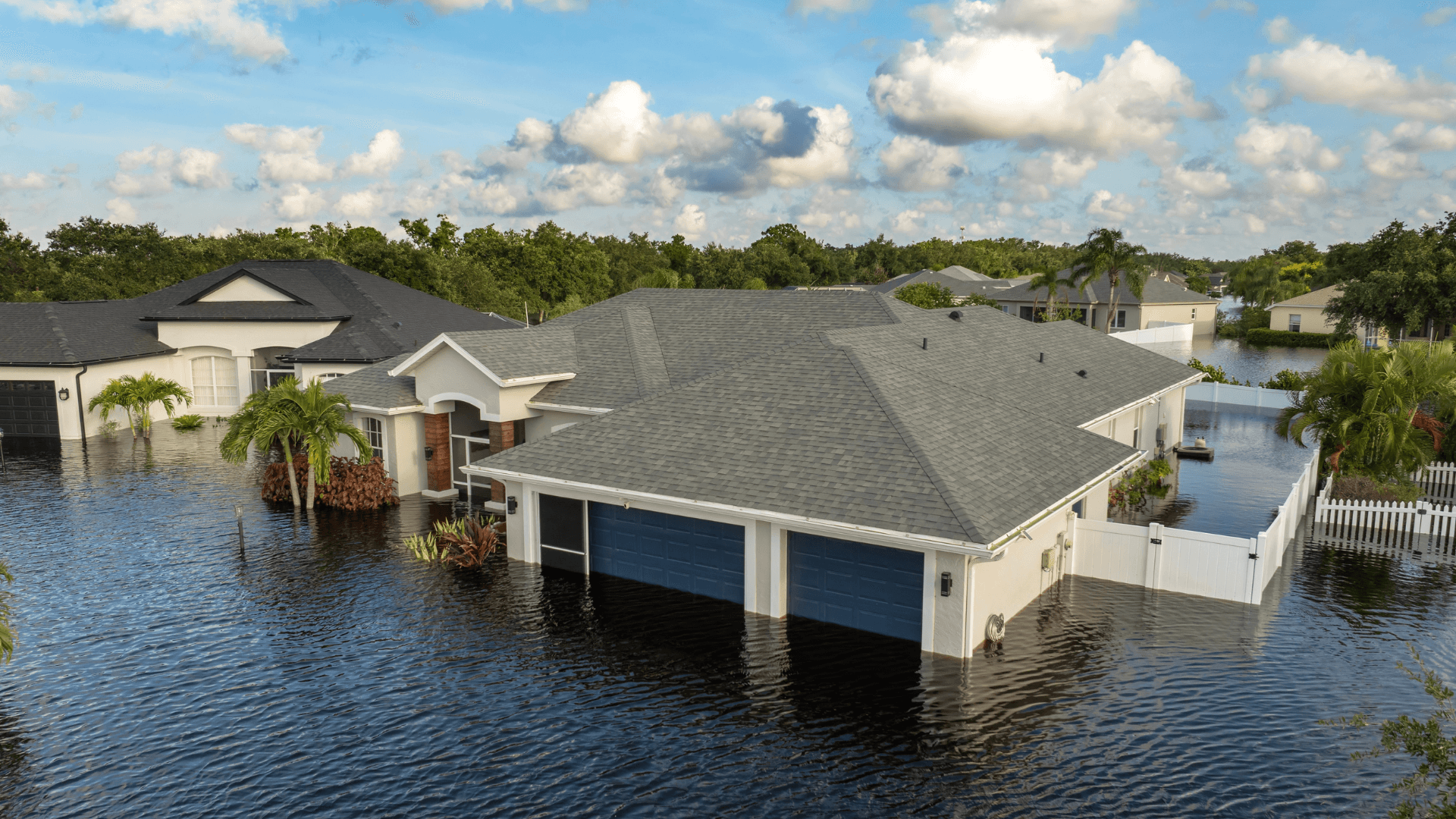 WTSP (Channel 10) Tampa Bay: Tips to Protect Yourself From Post-Hurricane Scams