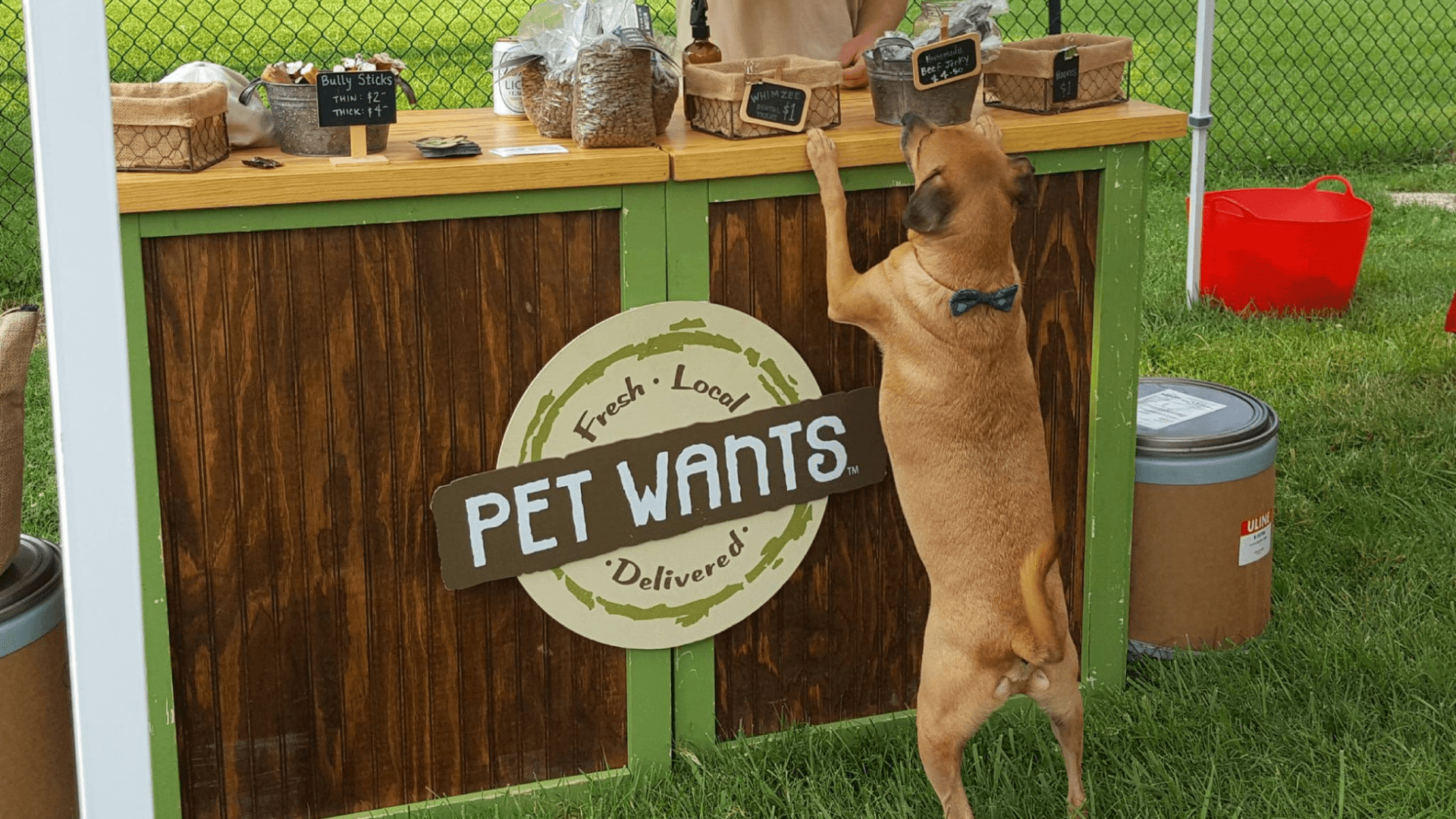 Why Pet Wants Stands Out as a Recession-Resistant Business