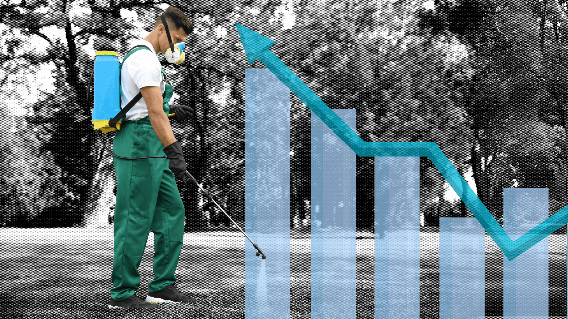 Top 25 Pest Control Franchises To Consider for 2025