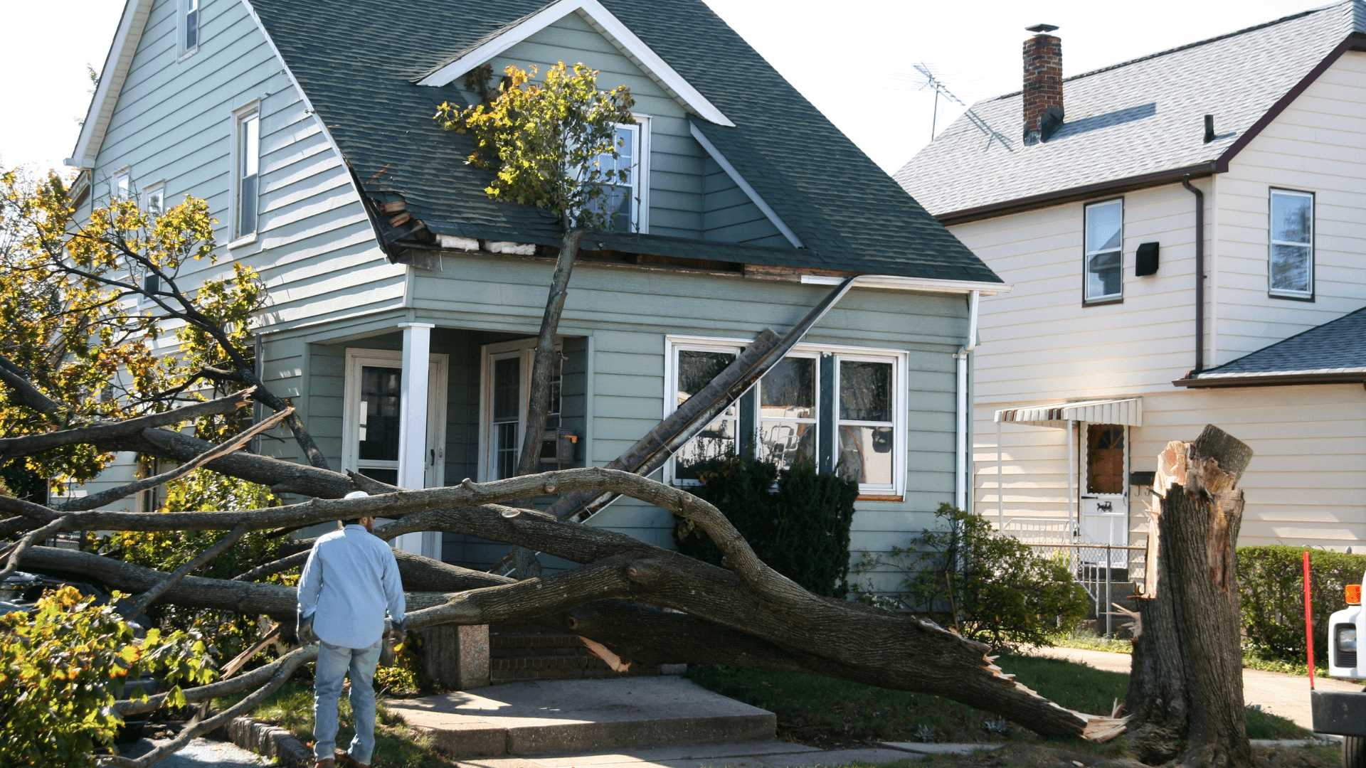 Top 20 Restoration and Disaster Recovery Franchises for 2025