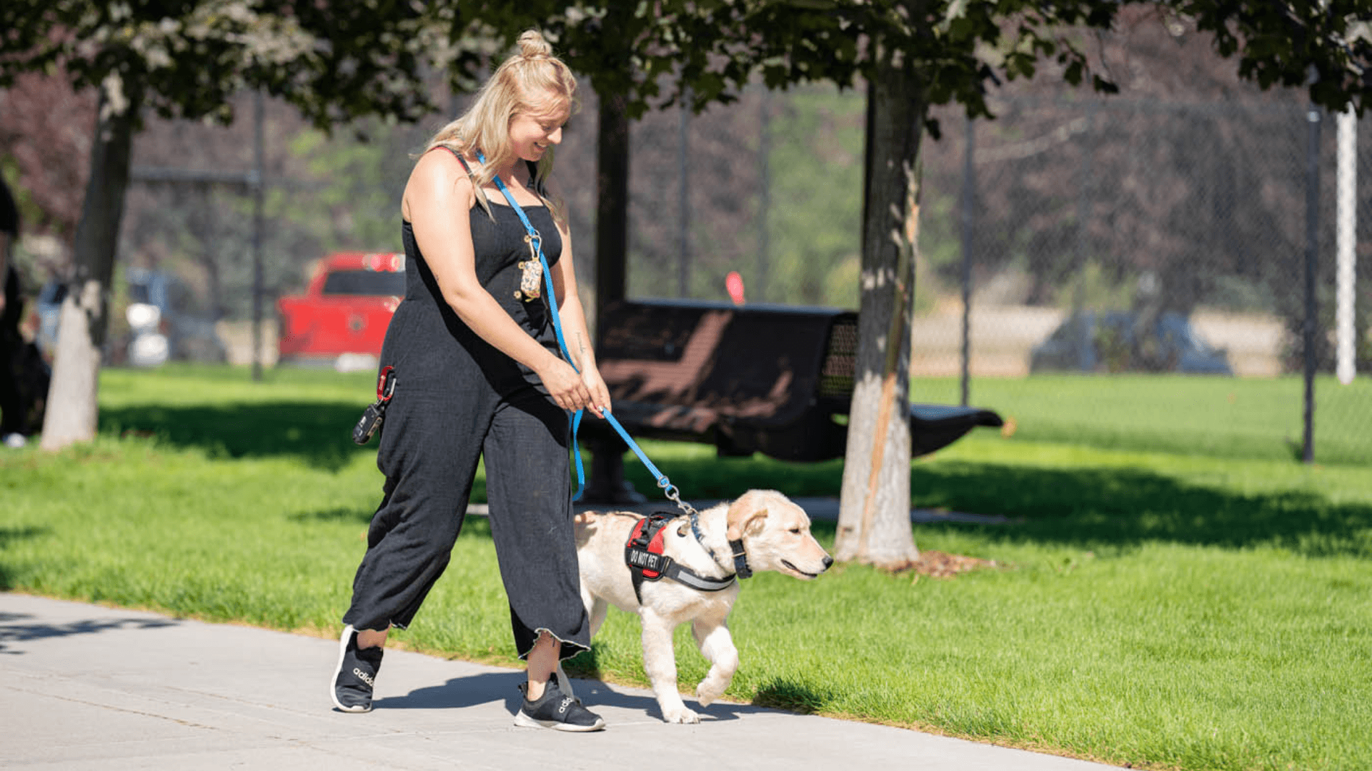 Training Support That Makes a Difference: How Dog Training Elite Helps Individuals With Mental Health Challenges