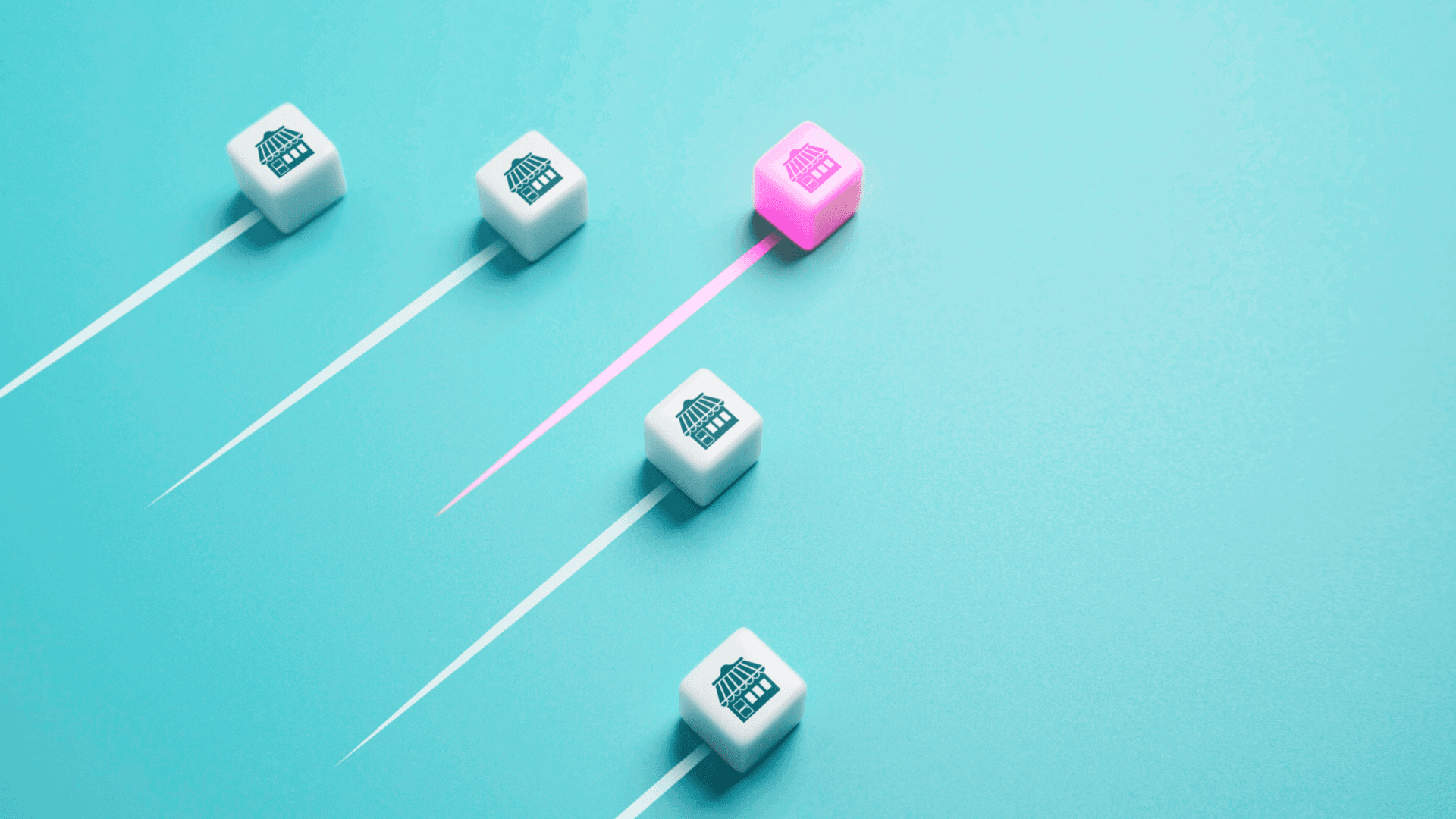 What Makes the Top Franchises of 2025 Stand Out in a Competitive Market?