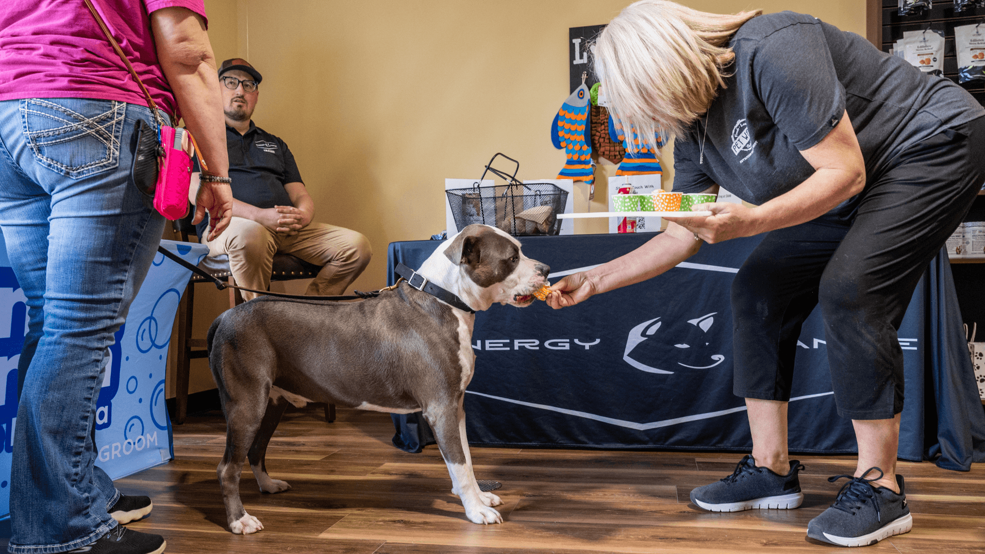 The Power of Niche: Why Specializing in Fresh, Customizable Pet Nutrition Gives Pet Wants a Competitive Edge