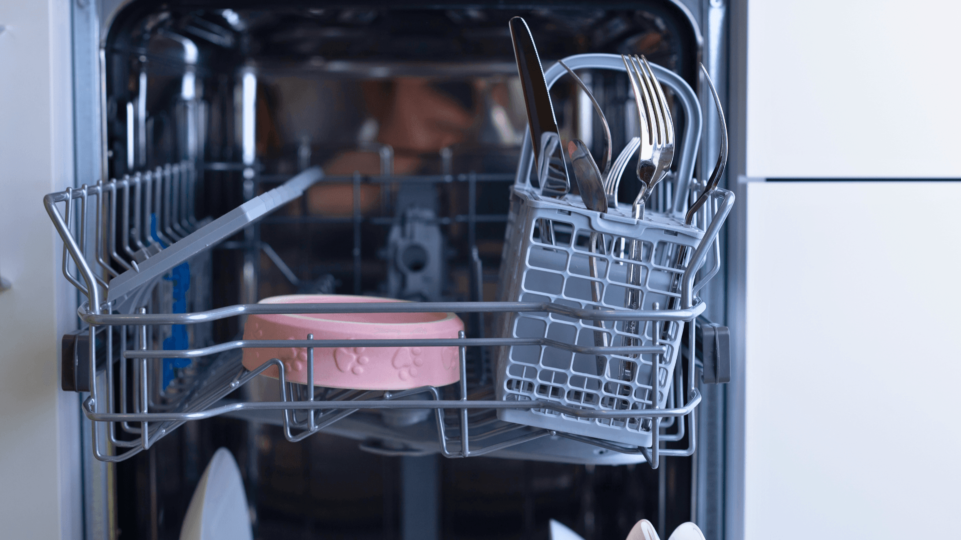 Pet Wants Shares Expert Tips on Cleaning Pet Gear Safely in the Dishwasher