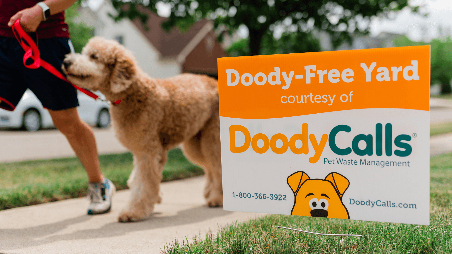 Why DoodyCalls Is Cleaning Up in the Pet Waste Industry