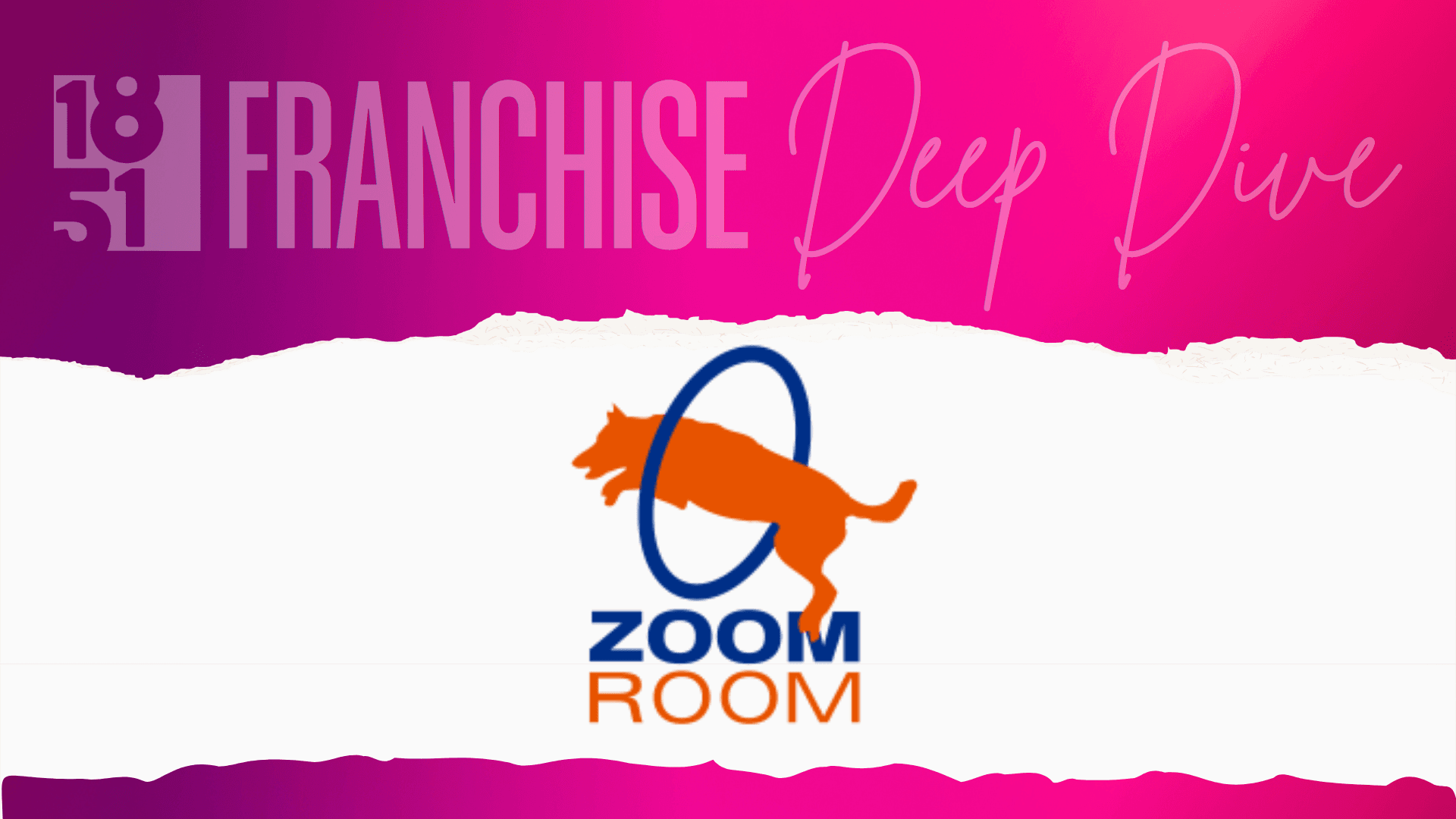 Zoom Room Franchise Costs, Fees, Profit and Data for 2025