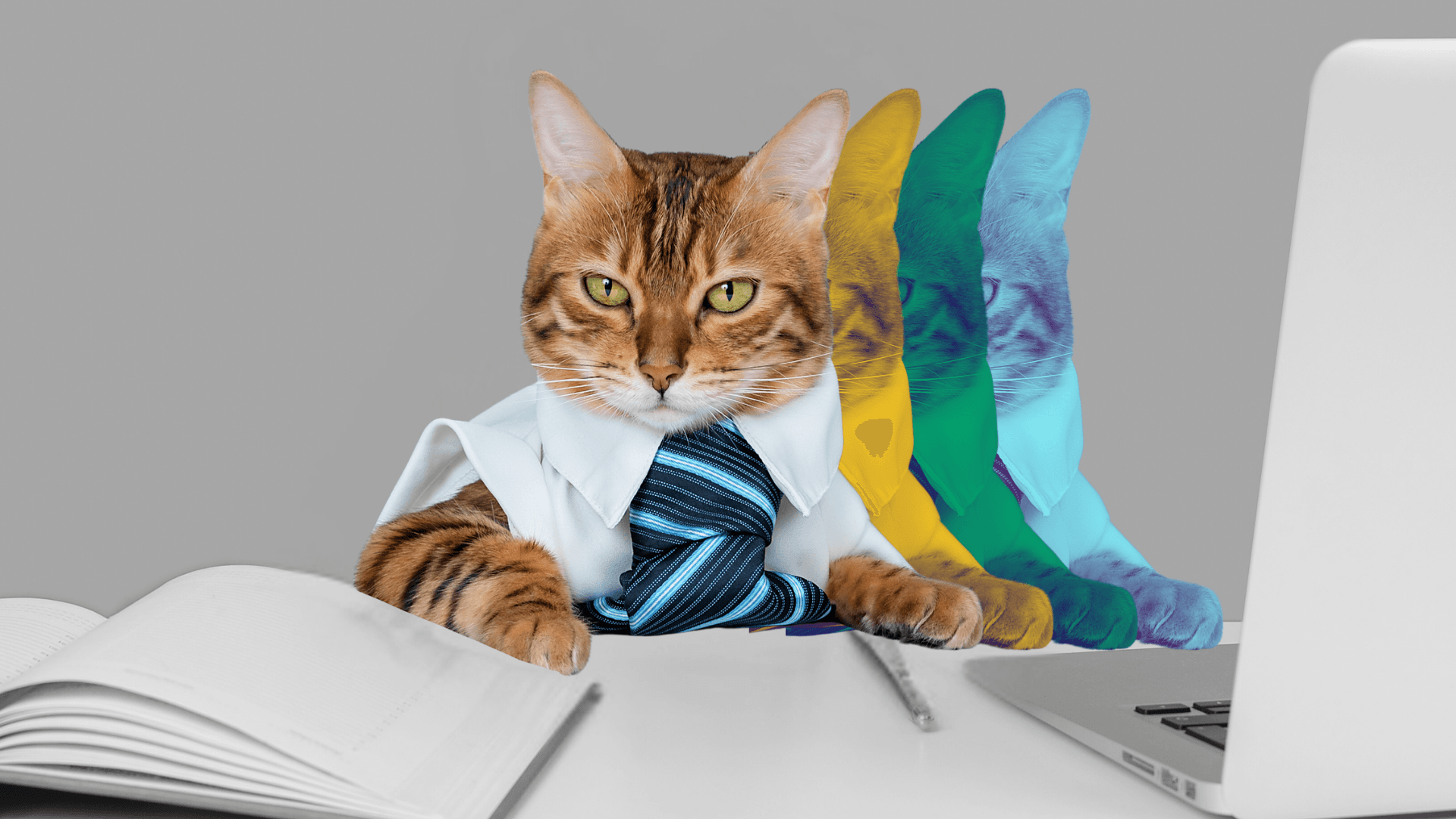 Top Established Pet Franchise Opportunities for 2026