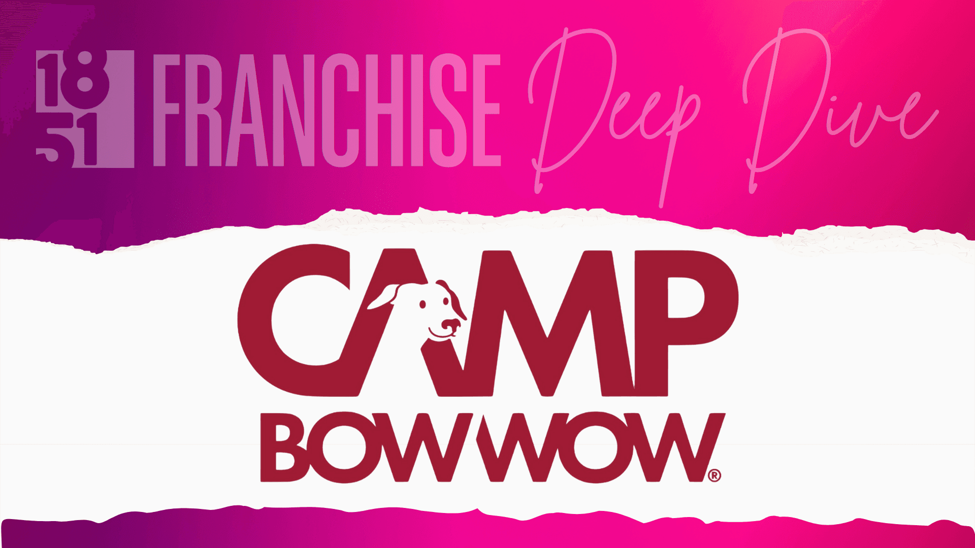 Camp Bow Wow Franchise Costs, Fees, Profit and Data for 2026
