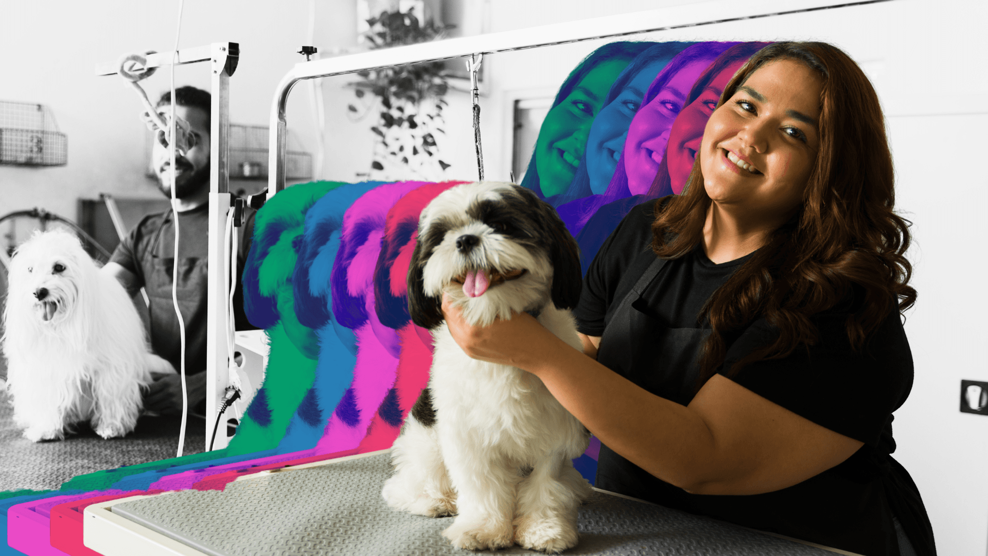 The Top 15 Boutique-Style Pet Franchises To Consider for 2026