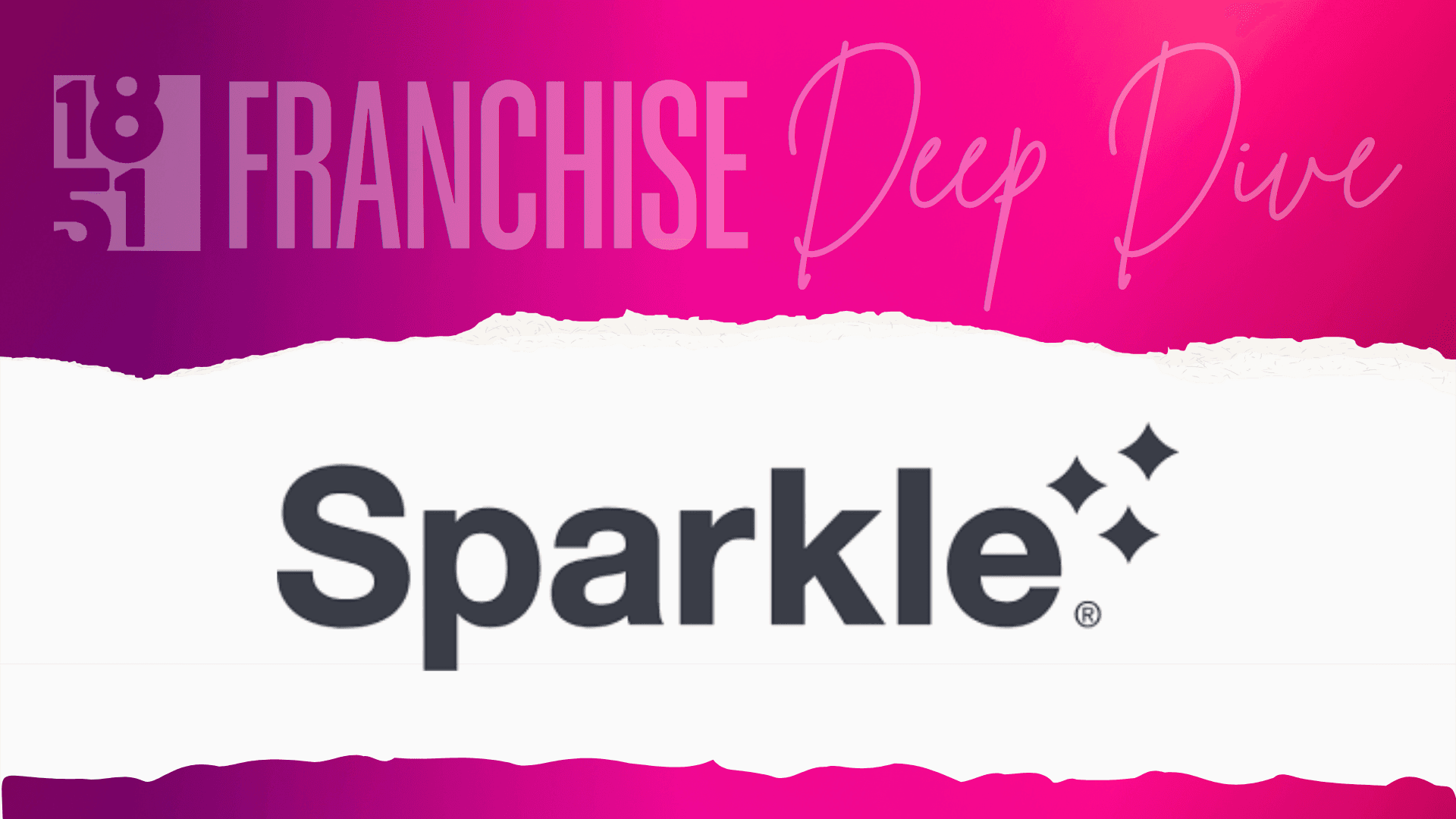 Sparkle Dog Care Franchise Costs, Fees, Profit and Data for 2025