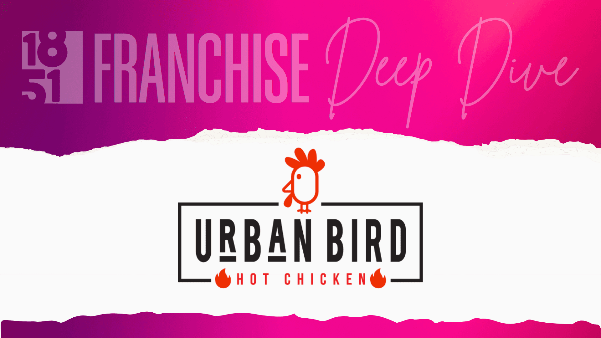 Urban Bird Hot Chicken Franchise Costs, Fees, Profit and Data for 2026