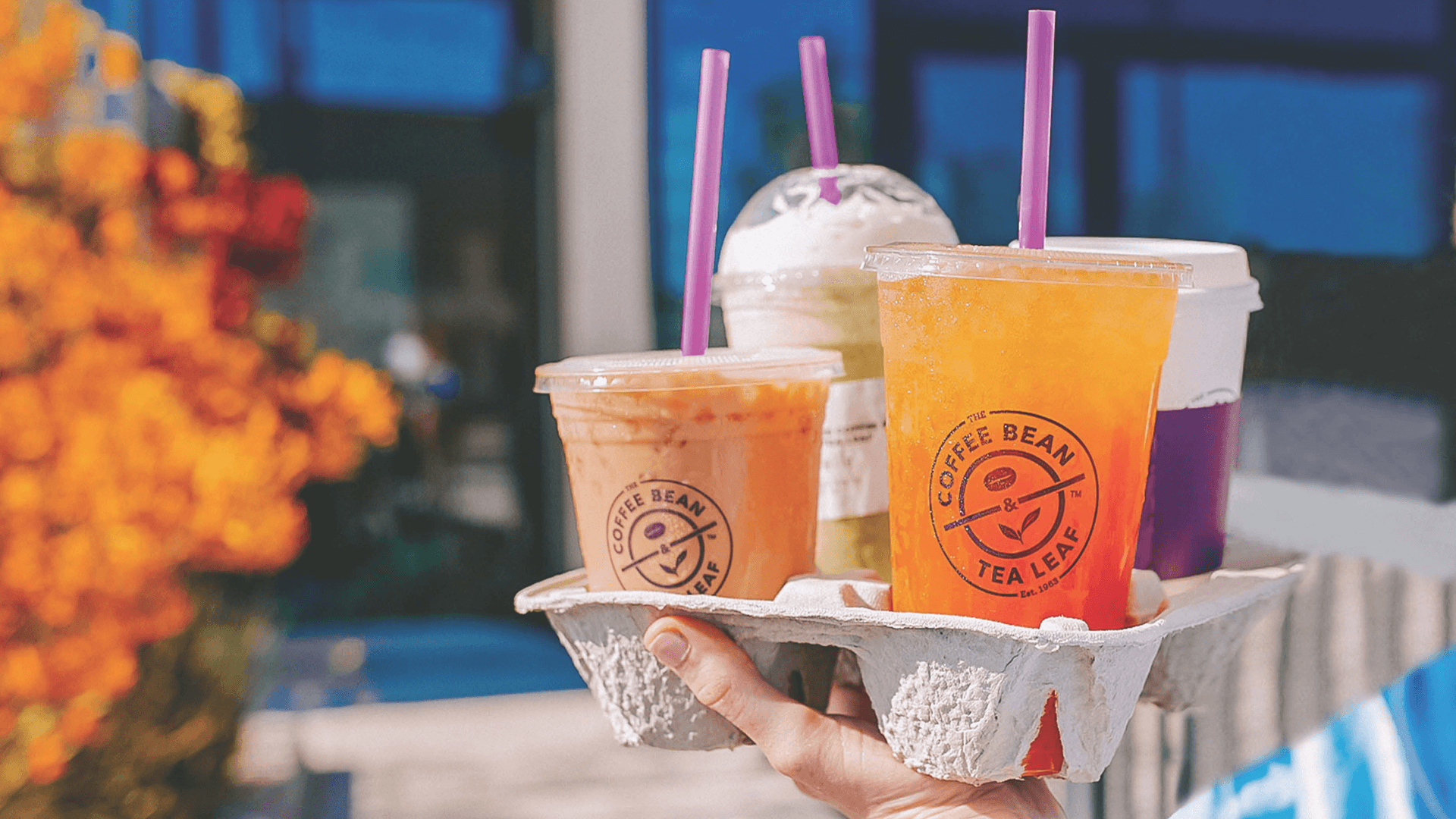 Common Questions on The Coffee Bean & Tea Leaf Franchise
