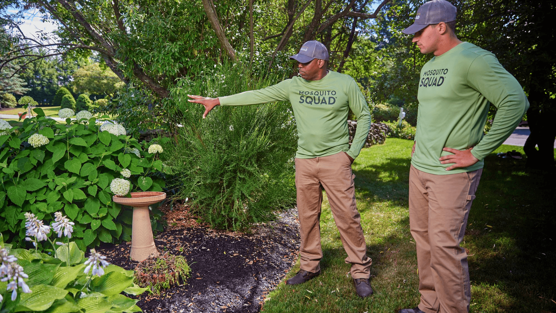 Year-Round Revenue: How Mosquito Squad Plus Expands Services and Strengthens Franchisee Growth