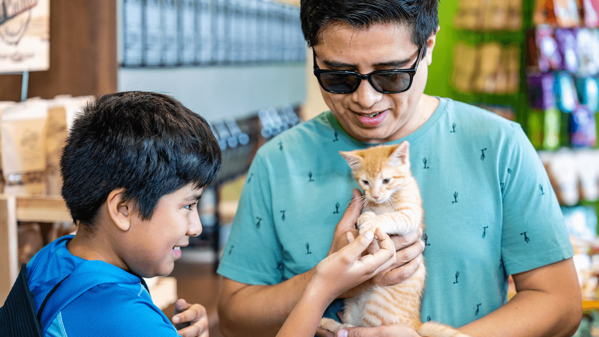 How Pet Wants Stands Out in the Competitive Cat Nutrition Market