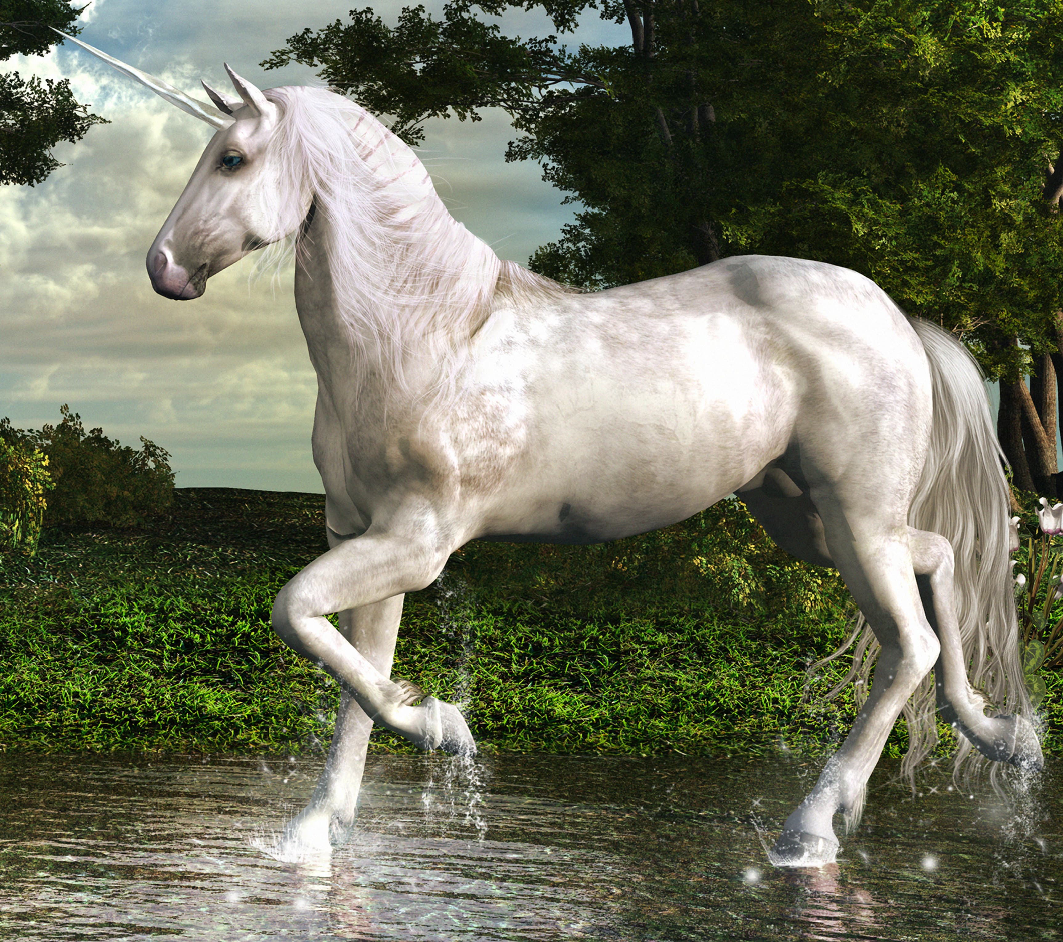 Find Your Franchise Development Unicorn