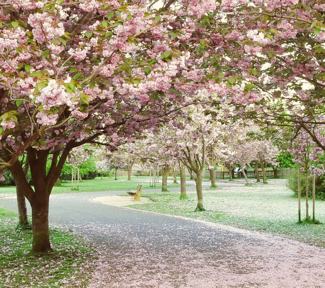 Brands Encourage Consumers to Think Spring