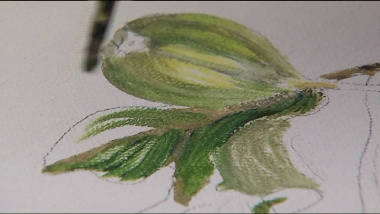 KTVI- St. Louis, Missouri: How Right at Home Helps Seniors Diagnosed with Alzheimer's Disease