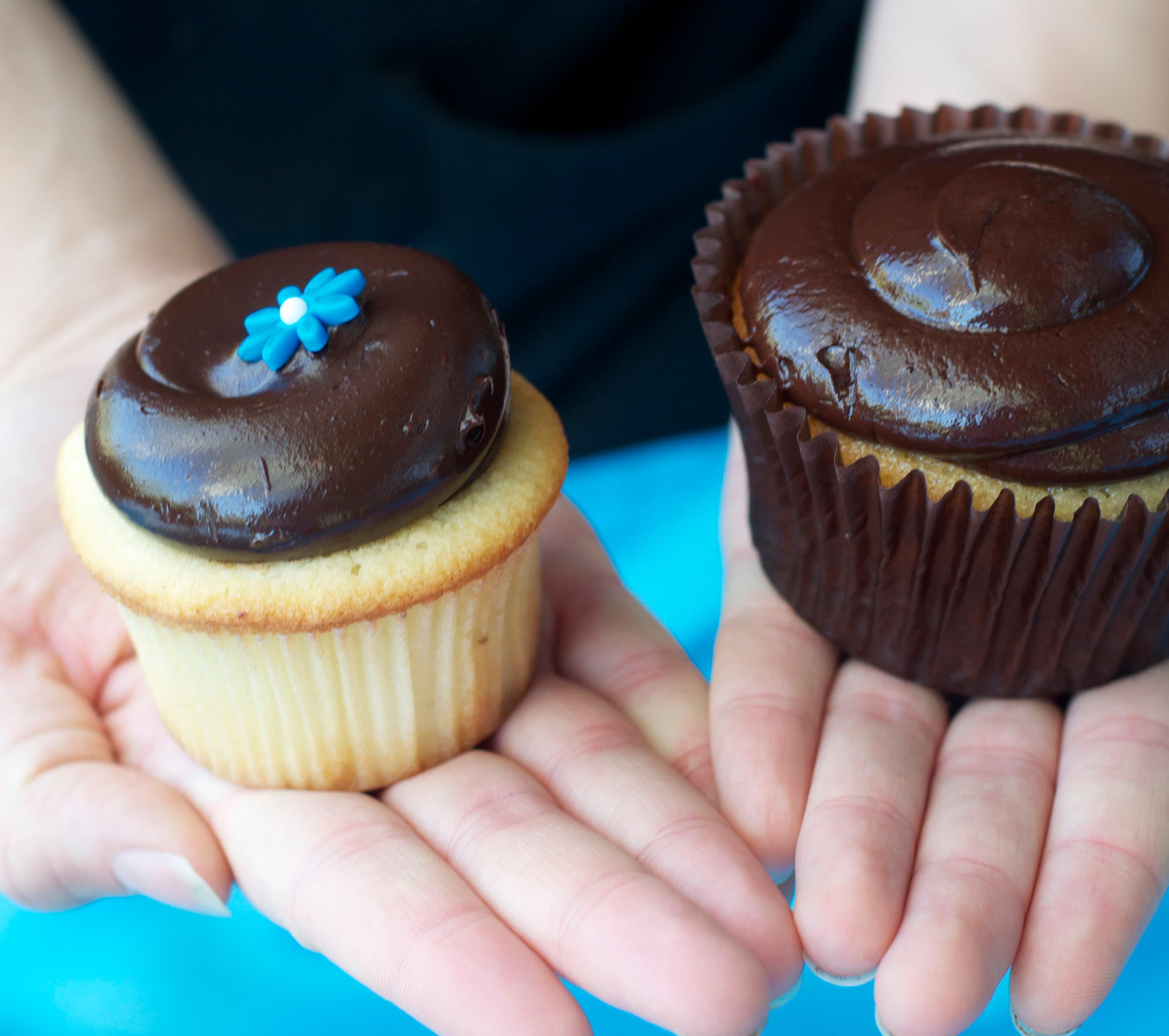 Toren Halseth - From Craigslist to a Cupcake Franchise