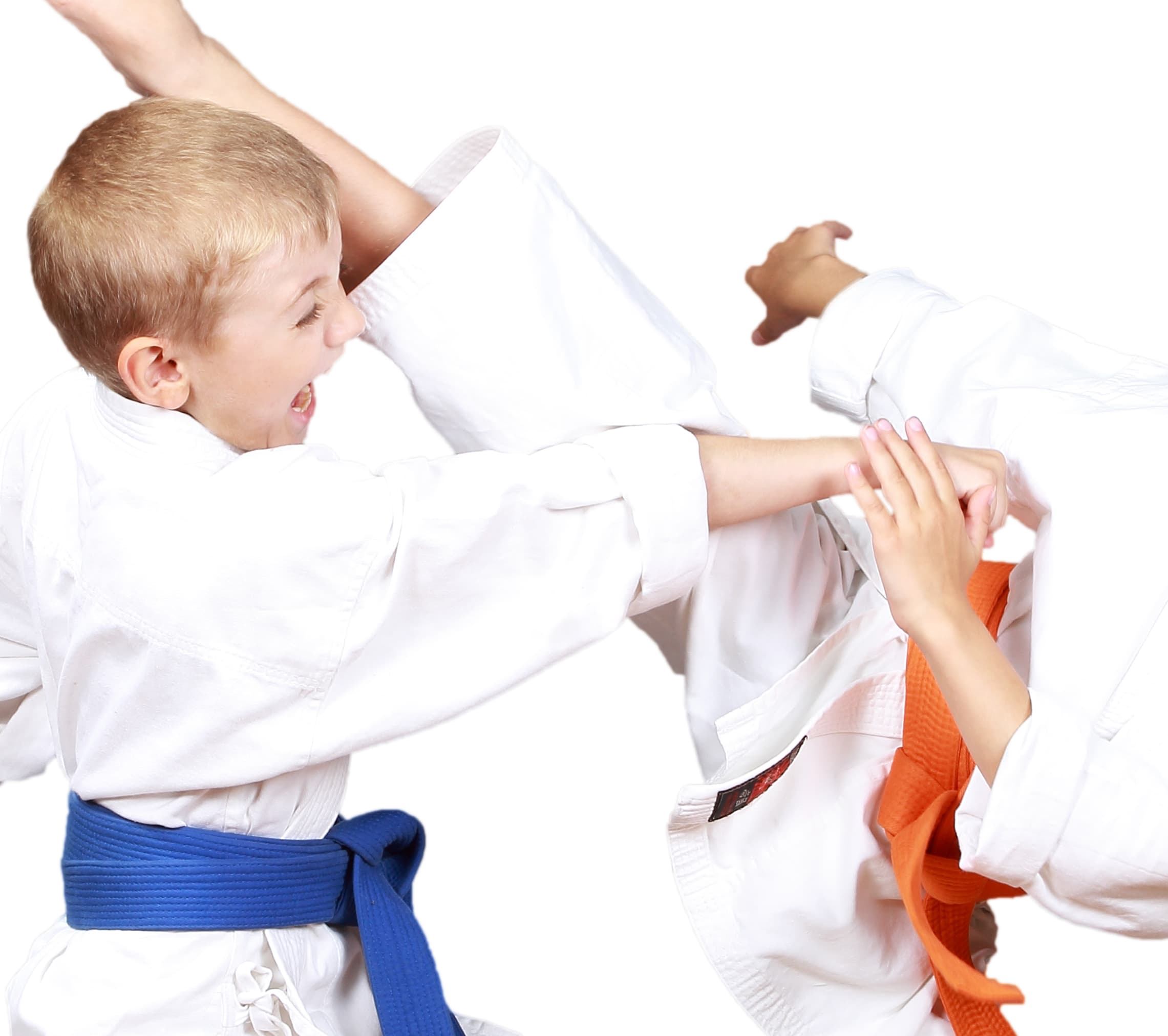 Former Detroit Lions Marketing Director Joins PRO Martial Arts 