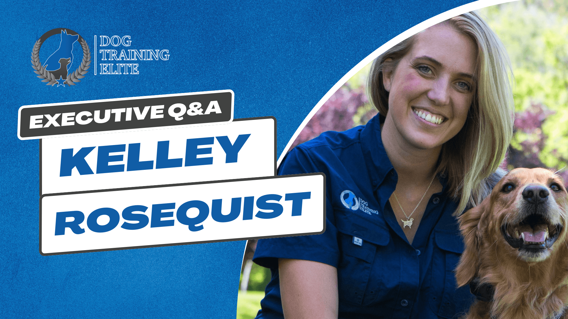 Dog Training Elite Executive Q&A
