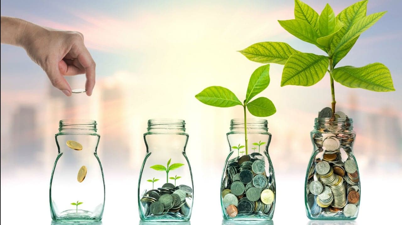 Buying for The Future: How to Project Growth in a Franchise Buying for The Future: How to Project Growth in a Franchise