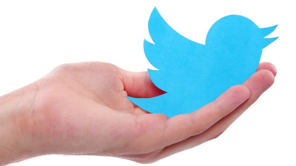 Adweek: Yes, Twitter Is Rolling Out 280-Character Tweets to Nearly All Users Adweek: Yes, Twitter Is Rolling Out 280-Character Tweets to Nearly All Users