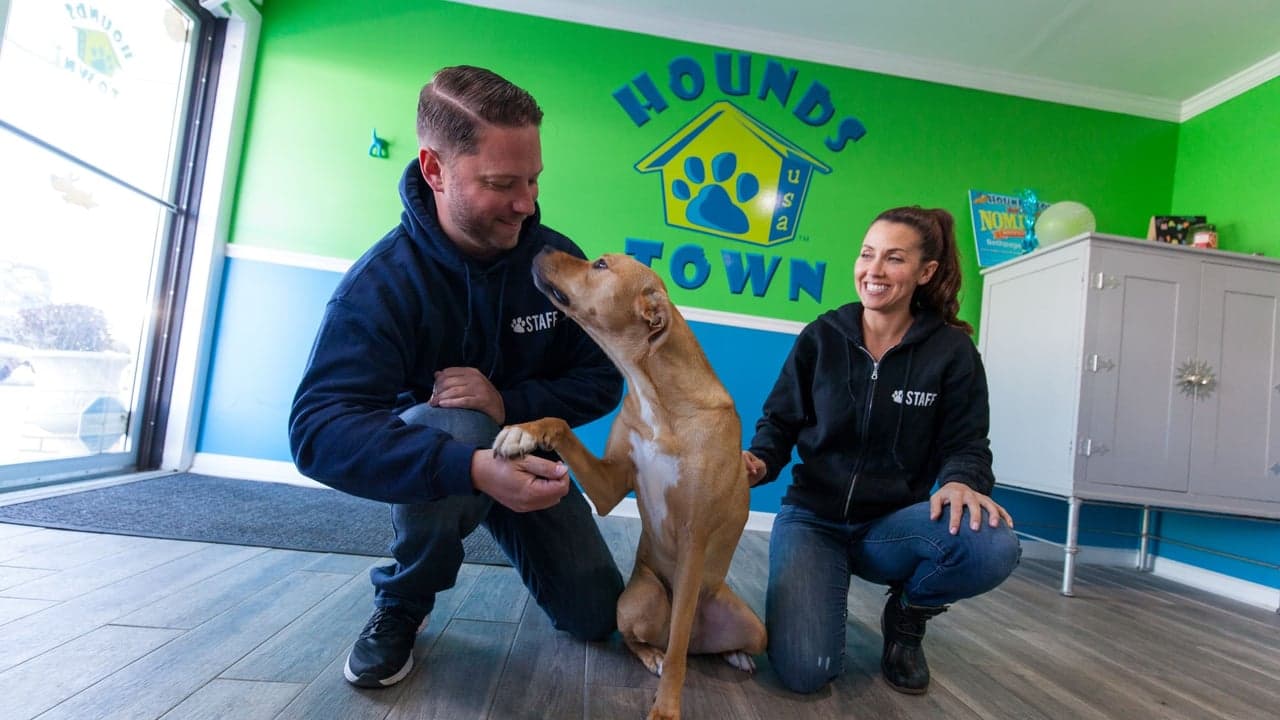 Hounds Town USA Welcomes New Franchisees, Boasts Average 142% Year-Over-Year Growth Rates Hounds Town USA Welcomes New Franchisees, Boasts Average 142% Year-Over-Year Growth Rates