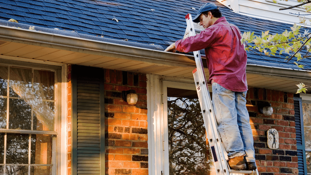 How undefined Evolved and Set New Standards Home for the Holidays: TruBlue Home Service Ally’s Top Holiday Home Maintenance Tips