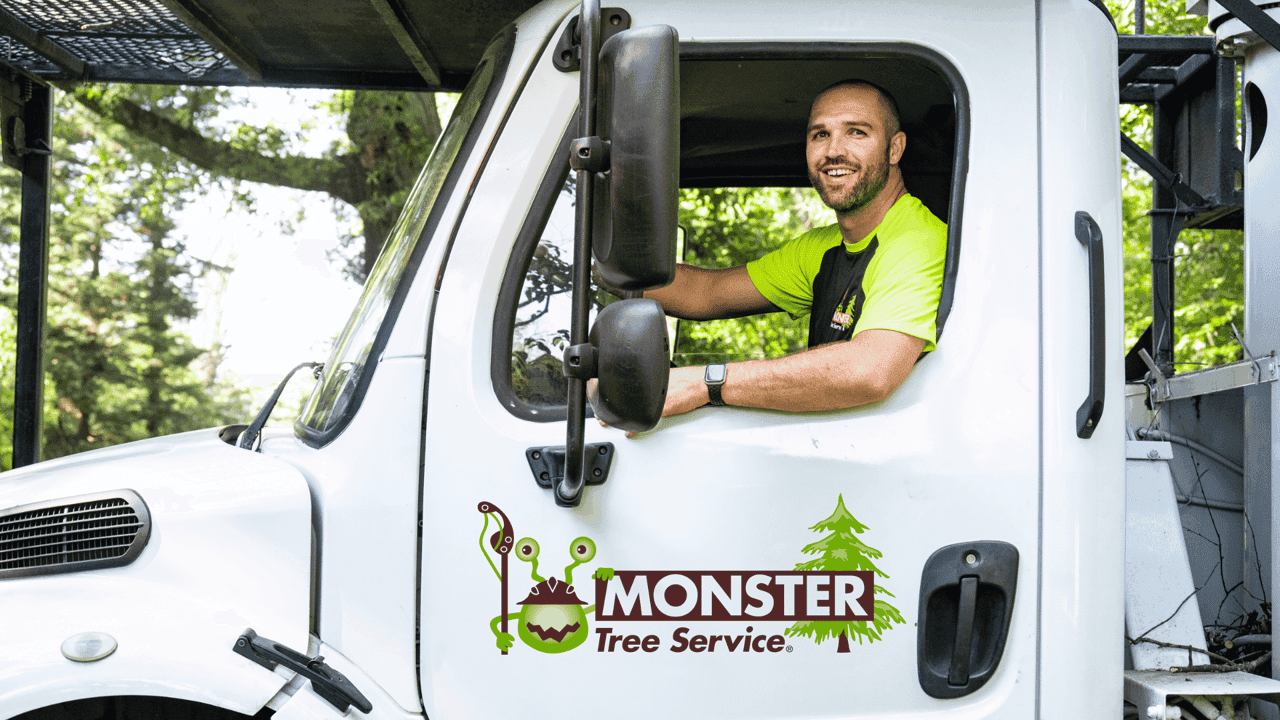 How undefined Evolved and Set New Standards image of monster tree services franchise opportunity
