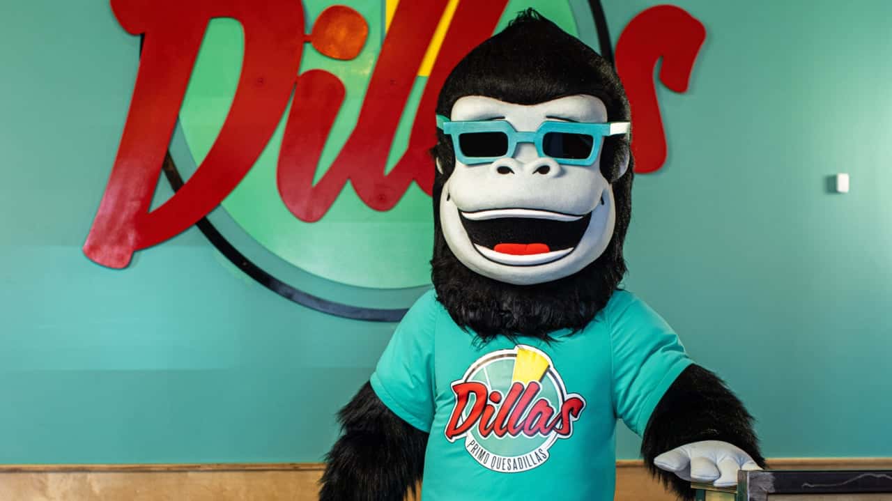 How undefined Evolved and Set New Standards Why Dillas Primo Quesadillas Is Targeting Tennessee for Franchise Growth