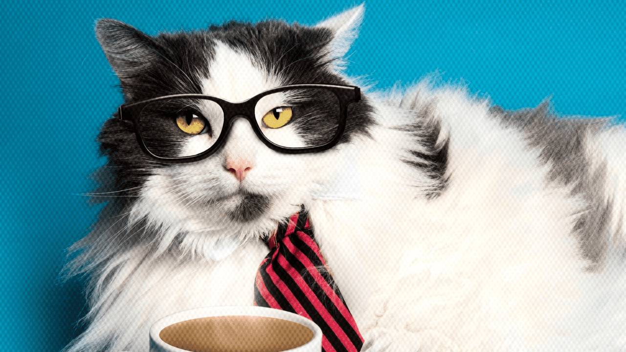 Top 13 Pet-Centered Franchises to Consider for 2025 Top 13 Pet-Centered Franchises to Consider for 2025