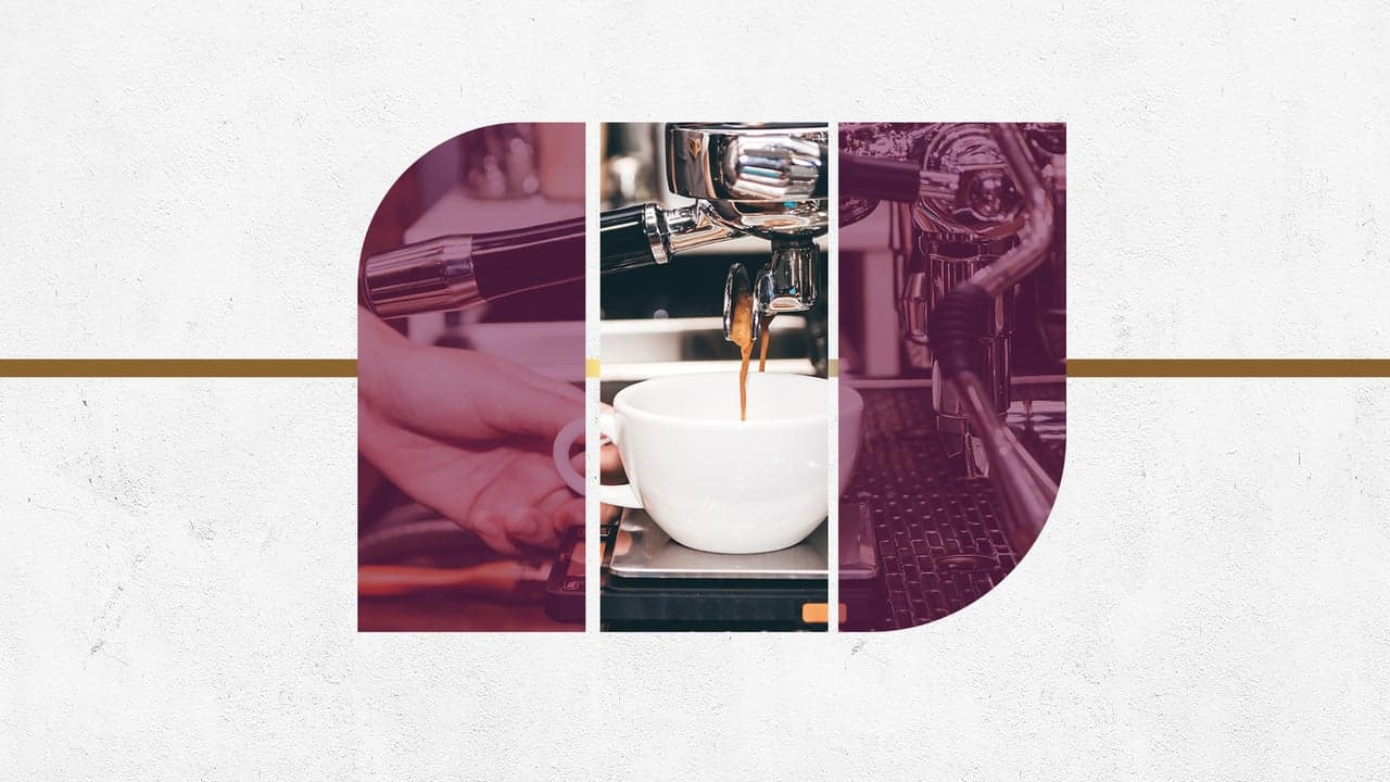 Best Cafe Franchises To Buy in 2021 Best Cafe Franchises To Buy in 2021