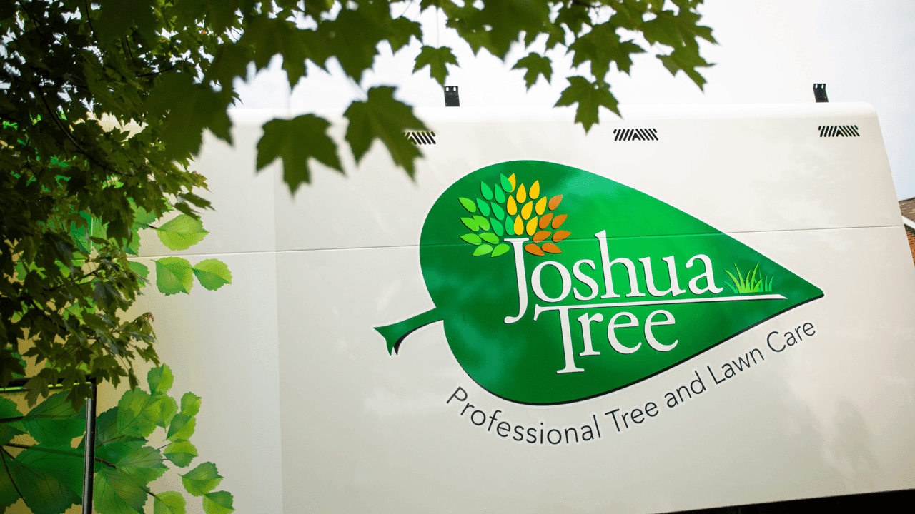 With Over $7 Million in Sales in 2022, Joshua Tree Experts Proves to Be an Excellent Business Opportunity for High Net Worth Individuals With Over $7 Million in Sales in 2022, Joshua Tree Experts Proves to Be an Excellent Business Opportunity for High Net Worth Individuals