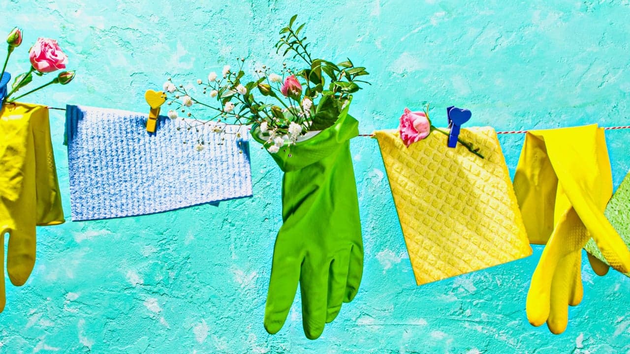 Top 5 Franchises for Spring Cleaning Top 5 Franchises for Spring Cleaning