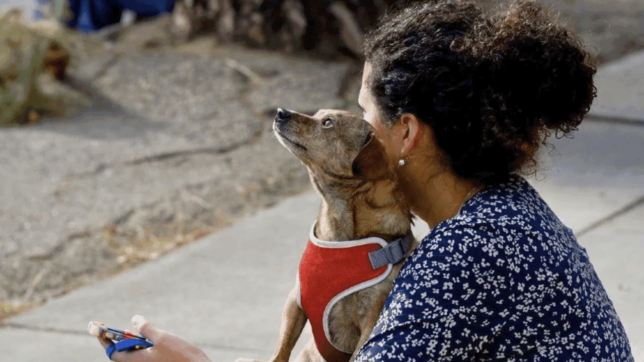 How undefined Evolved and Set New Standards Dog Training Elite Partners with LightHouse Women & Children’s Center