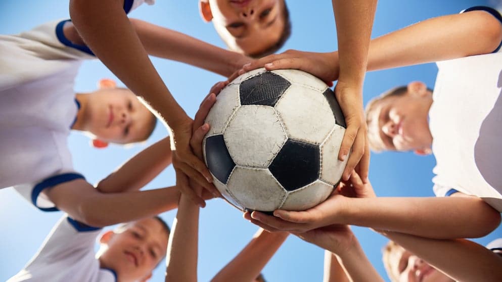 List of Low-Cost Sports Franchises List of Low-Cost Sports Franchises