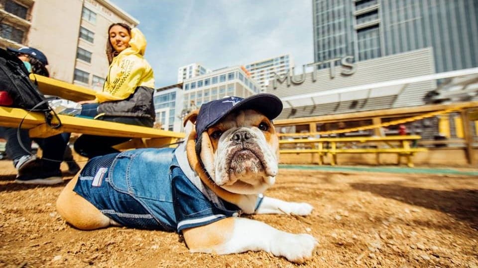 3 Emerging Brands That Are Building Buzz 3 Emerging Brands That Are Building Buzz