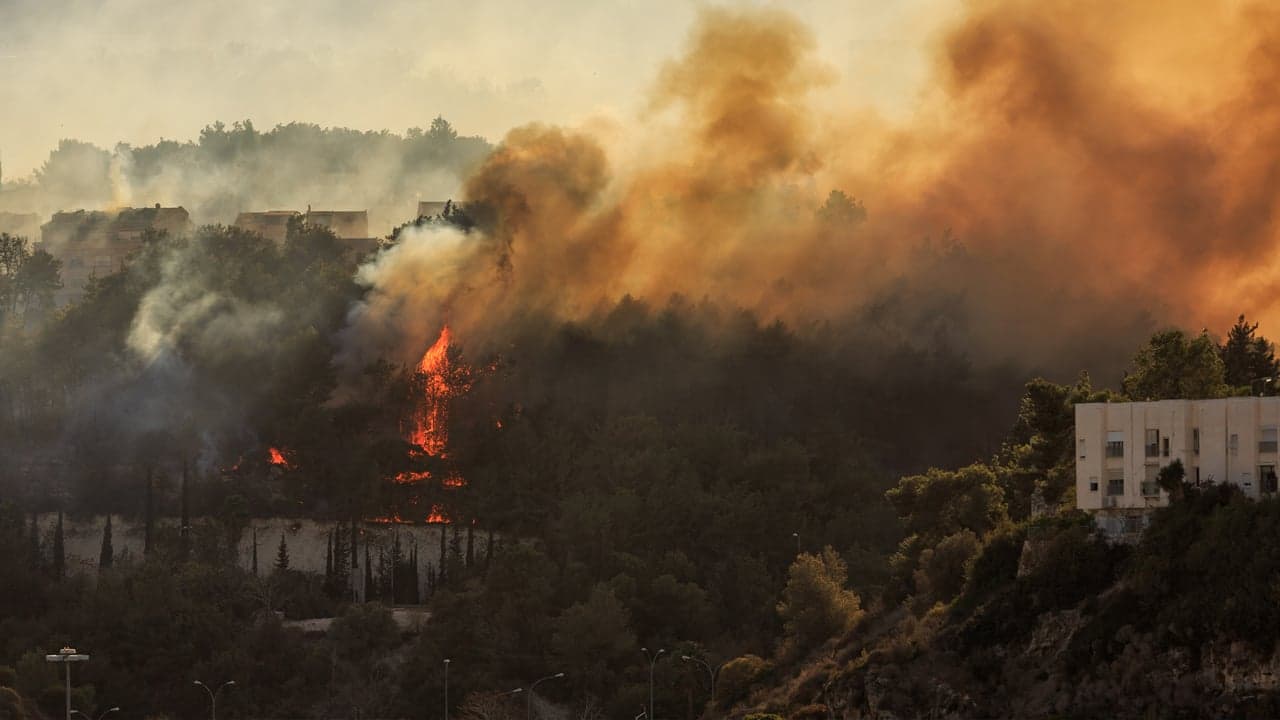 West-Coast Wildfires Cause Strain on Franchises West-Coast Wildfires Cause Strain on Franchises