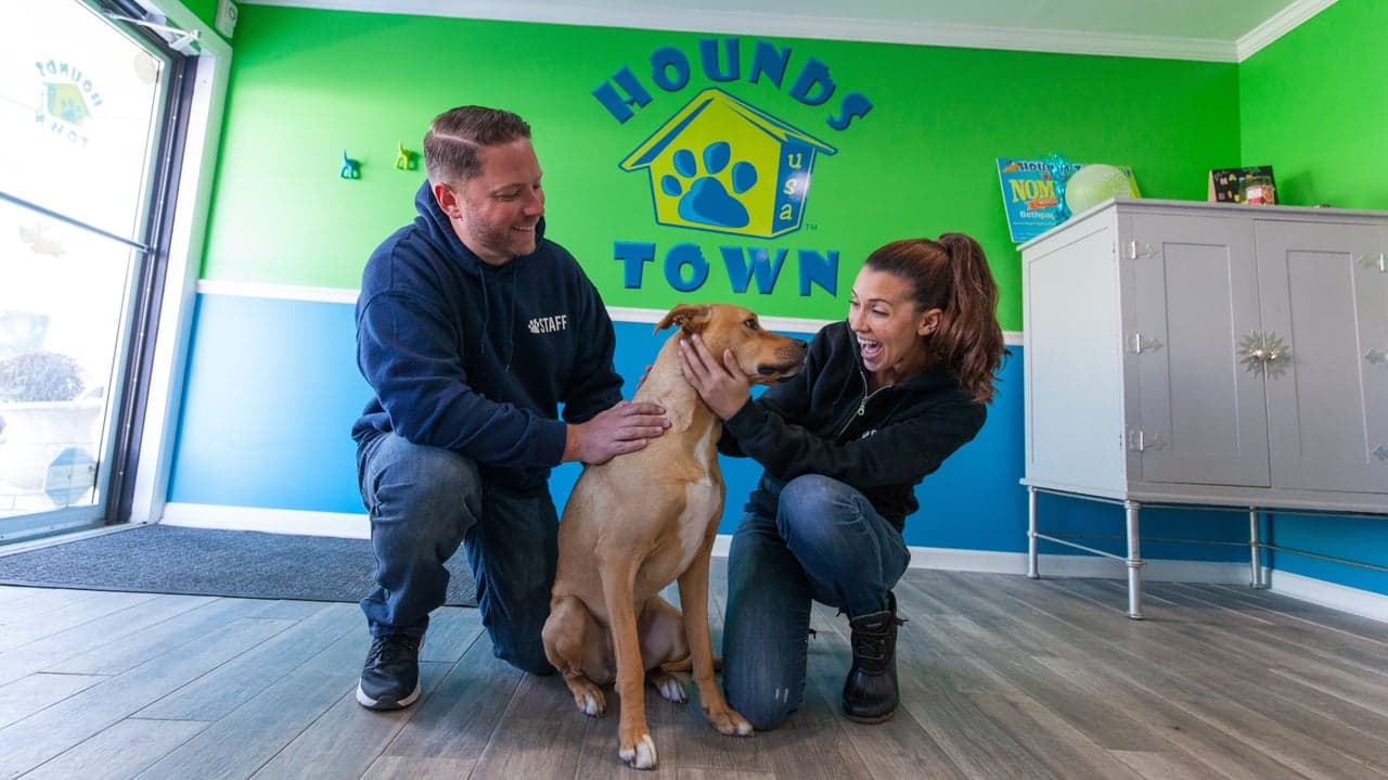 5 Reasons to Buy a Hounds Town USA Franchise 5 Reasons to Buy a Hounds Town USA Franchise