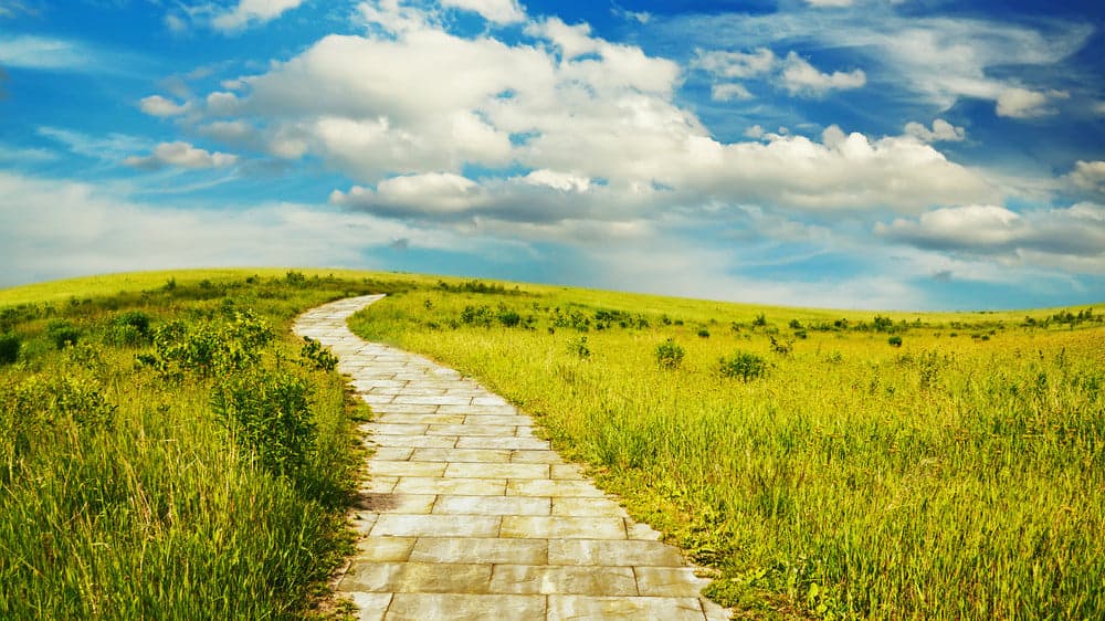 Expert Insight: How Long Does The Discovery Process Typically Take? Expert Insight: How Long Does The Discovery Process Typically Take?