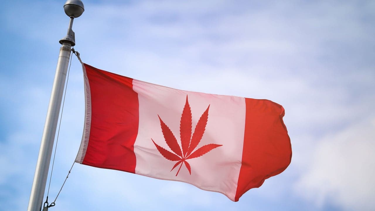 Marijuana is Now Legal for Canadian Adults Marijuana is Now Legal for Canadian Adults