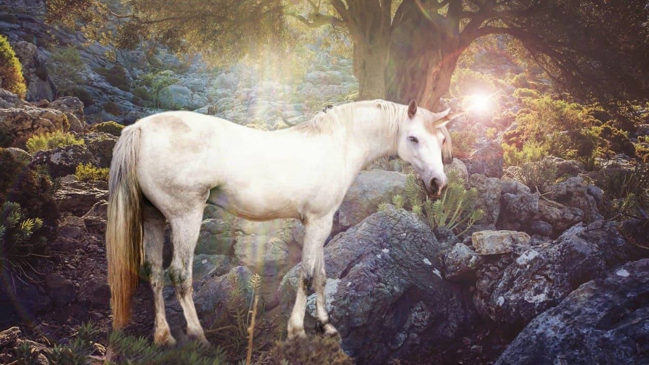 Now Trending: Cherries, Hot Sauce and Unicorns Now Trending: Cherries, Hot Sauce and Unicorns