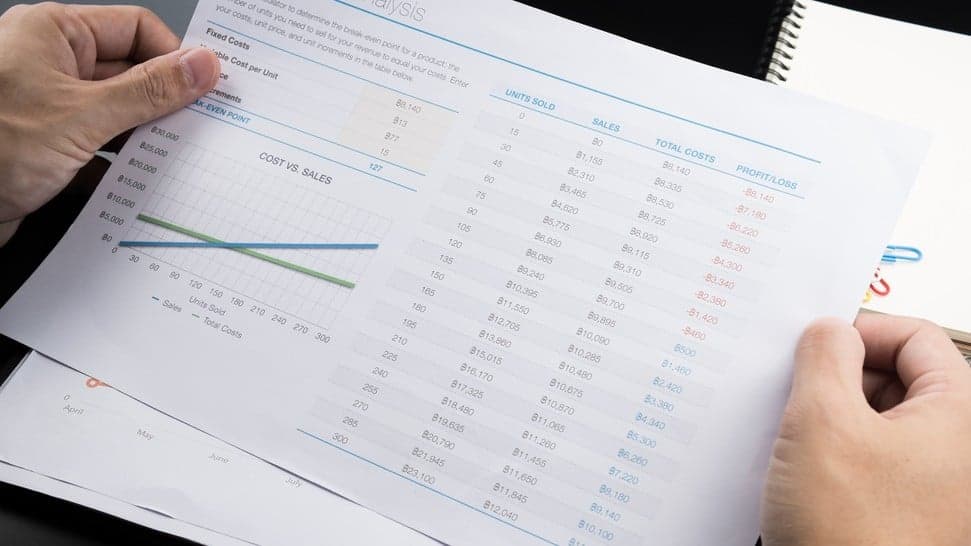 Understanding FDD Item 21: Audited Financial Statements Understanding FDD Item 21: Audited Financial Statements