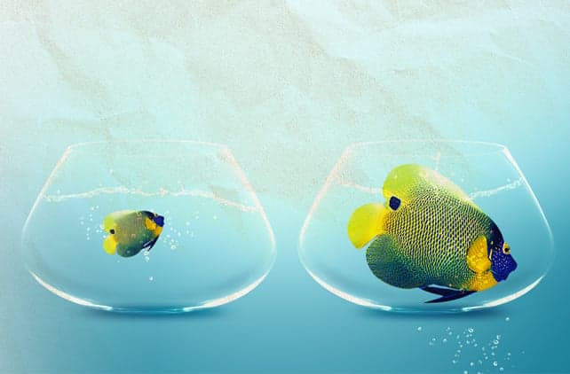 In Franchising, Does Size Matter? In Franchising, Does Size Matter?