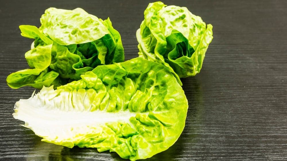 Fast Casual: CDC Expands Warnings on E. coli, Yuma-Sourced Romaine Lettuce Fast Casual: CDC Expands Warnings on E. coli, Yuma-Sourced Romaine Lettuce