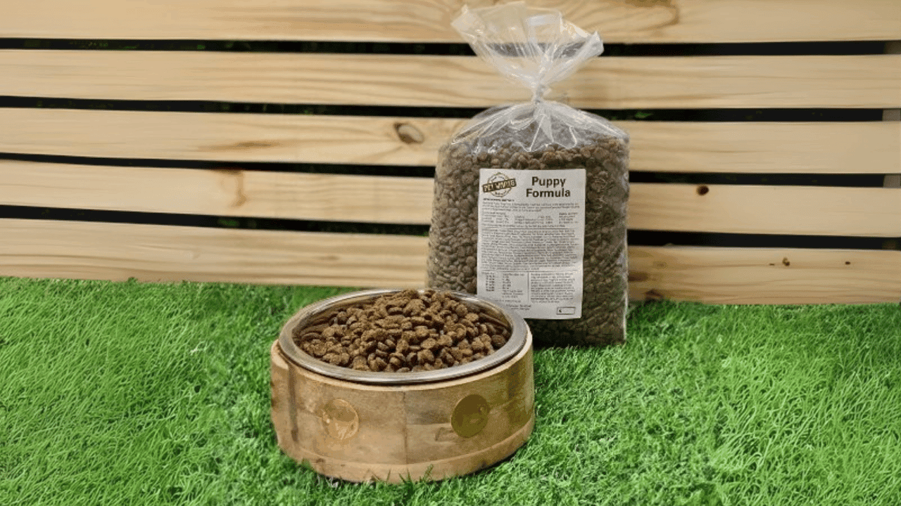 Pet Wants: Key Trends Shaping the Pet Food Industry Pet Wants: Key Trends Shaping the Pet Food Industry