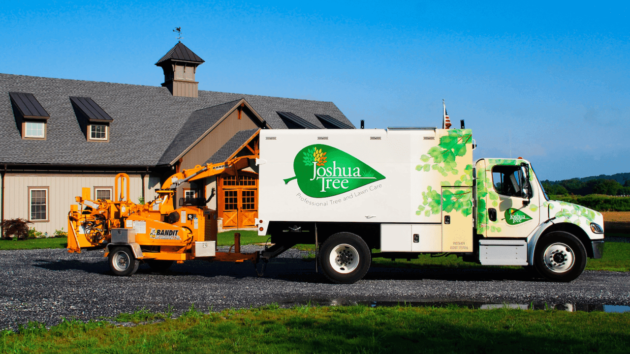 Joshua Tree Experts Signs First Franchisee, Expands in New York Joshua Tree Experts Signs First Franchisee, Expands in New York