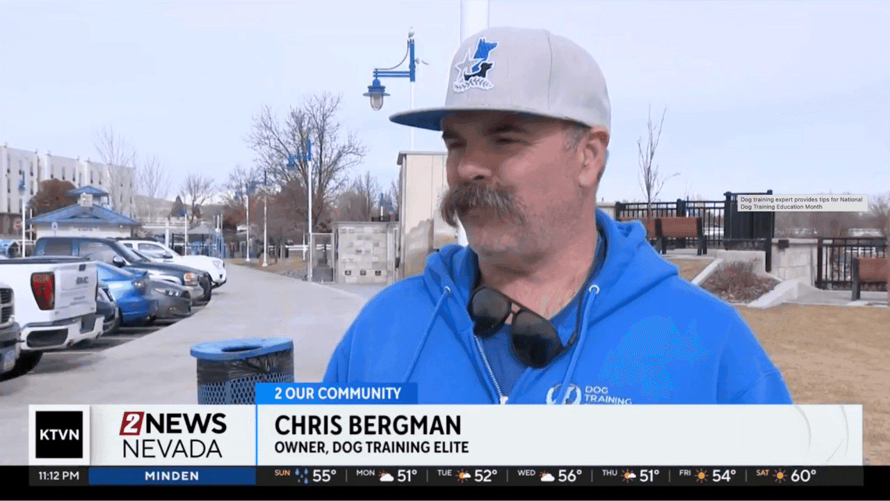 How undefined Evolved and Set New Standards Dog Training Elite - Chris Bergman - Dog Training Tips - National Dog Training Education Month