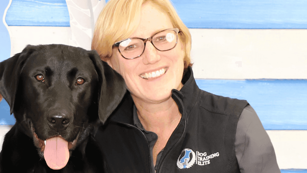How undefined Evolved and Set New Standards Dog Training Elite Taps Veteran, Former Exxon Executive as New CEO