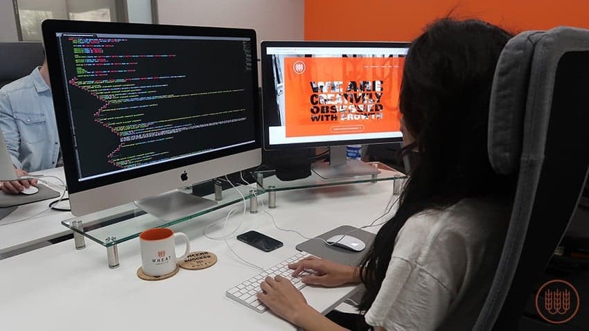Wheat Creative on How to Build a Strong Franchise Development Website Wheat Creative on How to Build a Strong Franchise Development Website
